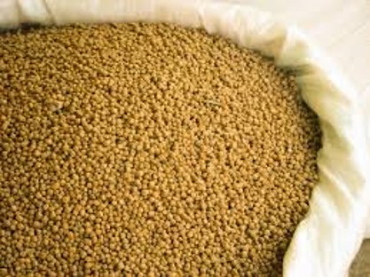مجموعة البكتريا المحفزة للهضم (بودر - ذائب)