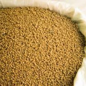 مجموعة البكتريا المحفزة للهضم (بودر – غير ذائب)