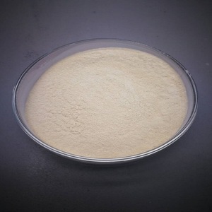 إنزيم اللاكتيز (بودر – غير ذائب)