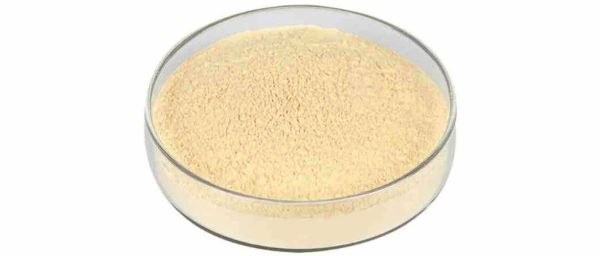 enzyme-powder